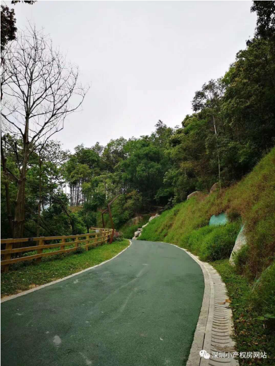 56.8萬入手龍華山水綠園村委統(tǒng)建樓，還在等什么？