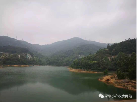 山水綠園一房一廳56平方，56.8萬/套起