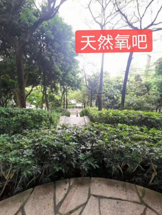 金光華府名校零距離，盡享綠色生態(tài)
